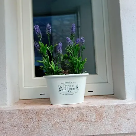 Apartamento La Casa Di Ursula Toscolano Maderno