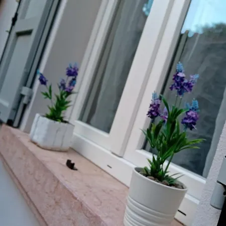 La Casa Di Ursula Apartment *